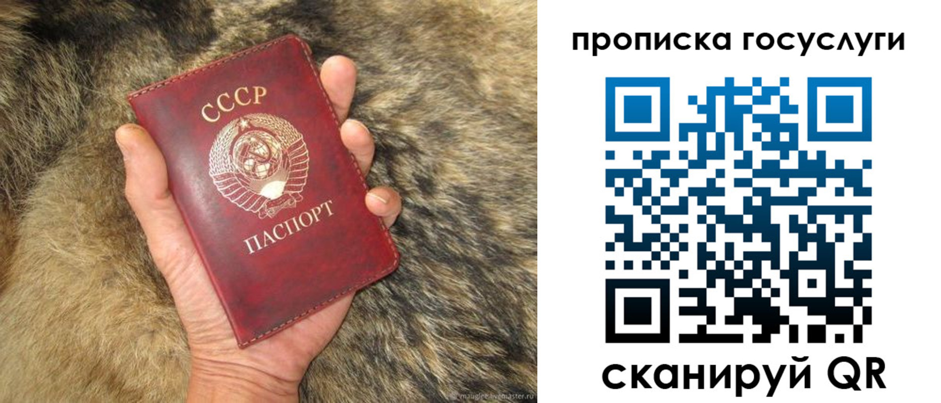 где прописаться в Томске